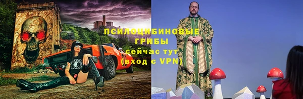 СК Абаза