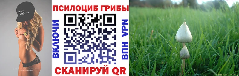 Галлюциногенные грибы ЛСД  нарко площадка Telegram  Новочеркасск  купить наркотики сайты 